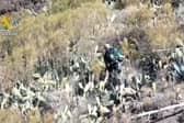 Jay Slater Spanish police video shows search for missing Brit.