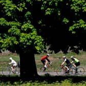 Cyclists ride their bicycles in the sunshine in Richmond Park.