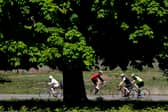Cyclists ride their bicycles in the sunshine in Richmond Park.