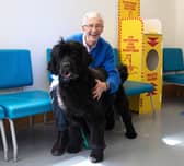 Paul O'Grady at Battersea Cats and Dogs Home with Peggy a Newfoundland dog (Credit: ITV/Multistory Media)