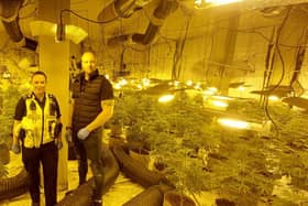 Derbyshire officers surrounded by suspected cannabis plants in a Derby city centre building