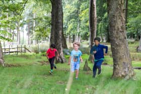 There's plenty of fun to be had at National Trust sites in Derbyshire