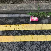 According to The Highway Code, double yellow lines indicate a ‘prohibition of waiting at any time even if there are no upright signs’ - something some Derby drivers appear to not understand 