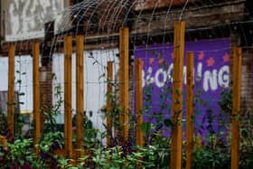 Markets championing ethical living will be held at Electric Daisy community garden that opened in June earlier this year