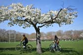 Cyclists in the park,