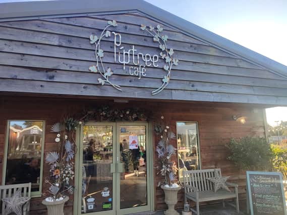 PipTree Cafe at Collyers Nurseries is a 12 minute drive from Derby city centre | Image Ria Ghei