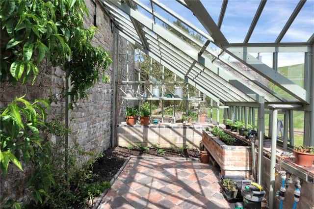 We love this greenhouse space and the watering cans!