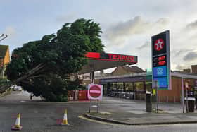 A tree has fallen at a petrol station in Derby | Image Penguin PR