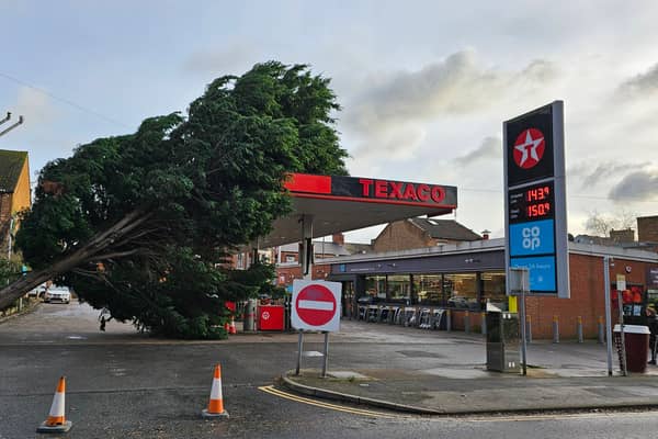 A tree has fallen at a petrol station in Derby | Image Penguin PR