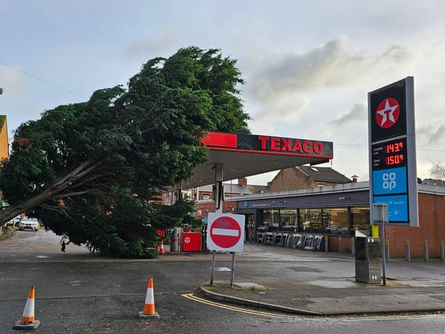 A tree has fallen at a petrol station in Derby | Image Penguin PR
