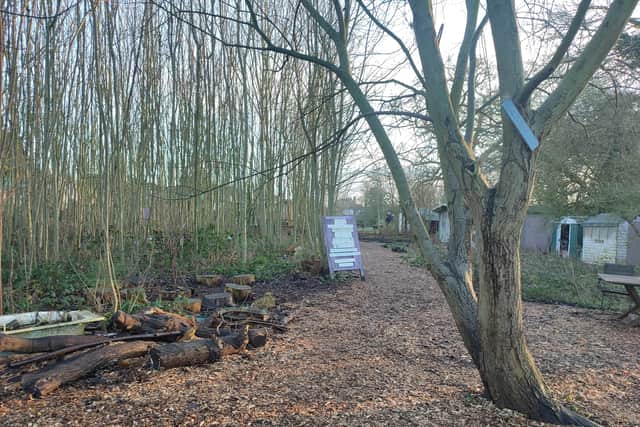 Hannah Fields is an expansive outdoor space where people connect with nature | Image Ria Ghei