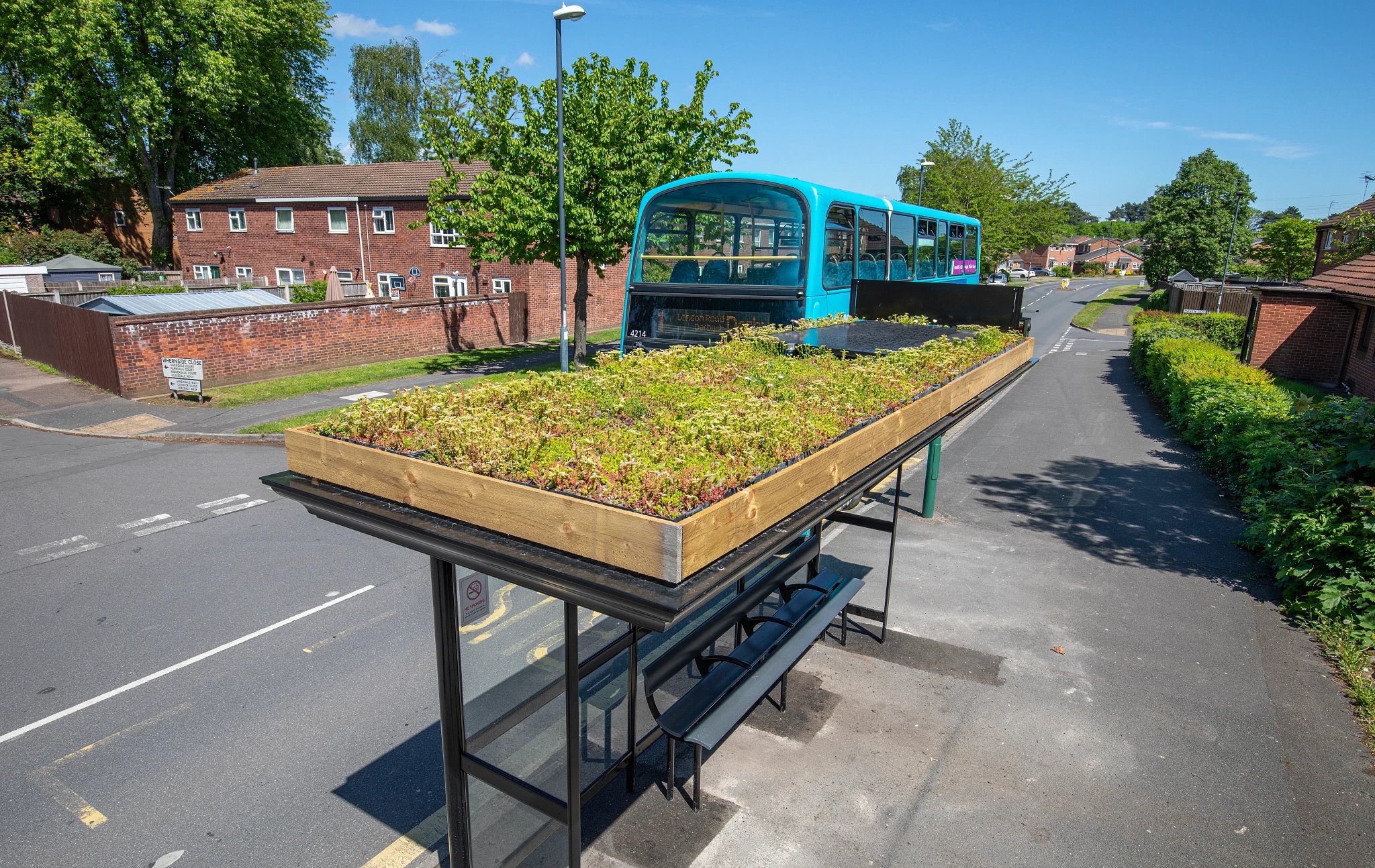 Derby's bee-friendly bus stops