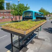 Whernside Close in Alvaston is one of 39 bee-friendly bus stops that has been given a green makeover to help bees flourish | Image Clear Channel UK