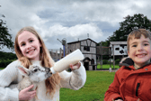 One of the activities at Bluebell Dairy & Farm is feeding cute lambs | Image Bluebell Dairy & Farm