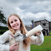 One of the activities at Bluebell Dairy & Farm is feeding cute lambs | Image Bluebell Dairy & Farm