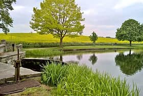 Sluice at The Pool is a great spot to go bird-watching or just enjoy acres of lush greenery | Image Chris Morgan Wikimedia Commons