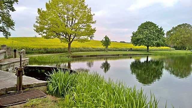 Sluice at The Pool is a great spot to go bird-watching or just enjoy acres of lush greenery | Image Chris Morgan Wikimedia Commons