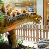 Things to do at Easter in Derby includes an epic 14 Dinosaur Trail
