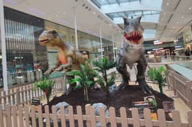 Dinosaurs have returned, can you spot all 14 of them around Derbion? | Photo Ria Ghei