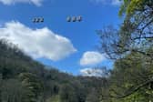 Flying through the clouds and trees 