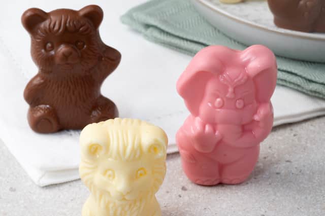Birds Bakery has launched a new chocolate range that is fun to eat and a joy to look at Photo Birds Bakery