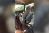 Elephant uses trunk to rummage for snacks in tourists’ Jeep.