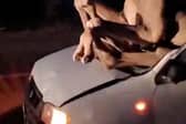 A camel landed through the windshield of a car in a road collision.