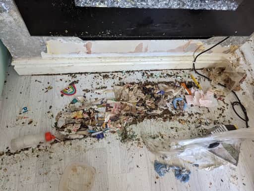 Large nests were found in a set of drawers and under a bookshelf, while one young rat was seen drinking from a leaking radiator because the animals hadn’t got any water.
