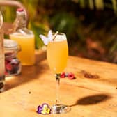 Pretty cocktails and Insta-worthy interiors 