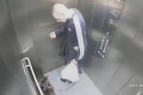 Bulldog Biscuit visibly cowers on the CCTV footage as owner Cameron Brunning subjects her to a series of assaults. 