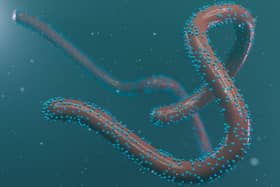 Rwanda declared an outbreak of the Marburg virus on September 27.