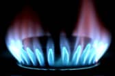 A poll of 2,000 adults found that 45 per cent have never sought assistance regarding their energy bills - whether that be turning to loved ones or seeking professional advice