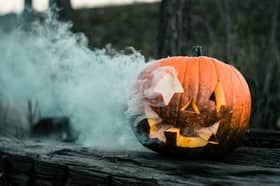 If you're a fan of jump-scares and things that go bump in the night, you may enjoy an evening out at Xtreme Scream Park.