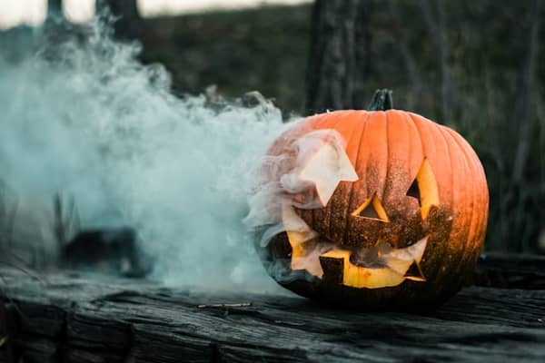 If you're a fan of jump-scares and things that go bump in the night, you may enjoy an evening out at Xtreme Scream Park.