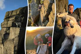 Mountain rescuers saved a sheep perched on a cliff ledge at Stanage Plantation
