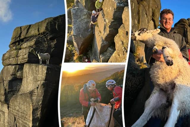 Mountain rescuers saved a sheep perched on a cliff ledge at Stanage Plantation