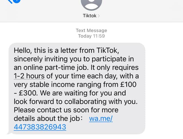 An example of the TikTok job scam message. Photo: Matthew Mohan-Hickson