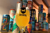 A selection of the beers in the BrewDog Craft Beer Advent Calendar 2024