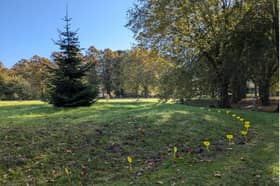 Nottingham Road Cemetery will be packed with thousands of flowers ready for spring - but the work starts now