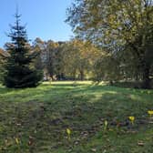 Nottingham Road Cemetery will be packed with thousands of flowers ready for spring - but the work starts now