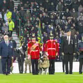 Pride Park Stadium, Saturday November 9, 2024
