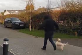 Man snatches cockapoo 