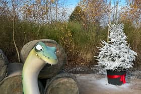 The Gruffalo trail has been sprinkled with snow