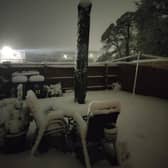 Jenna Payne sent us this snowy photo of her garden in Alfreton, North Derbyshire