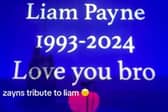 Zayn Malik pays tribute to former One Direction bandmate Liam Payne at Leeds show.