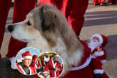 Shots! TV meet the festive runners at Blackpool Santa Dash, in a Christmas Special of Unconventional Brits