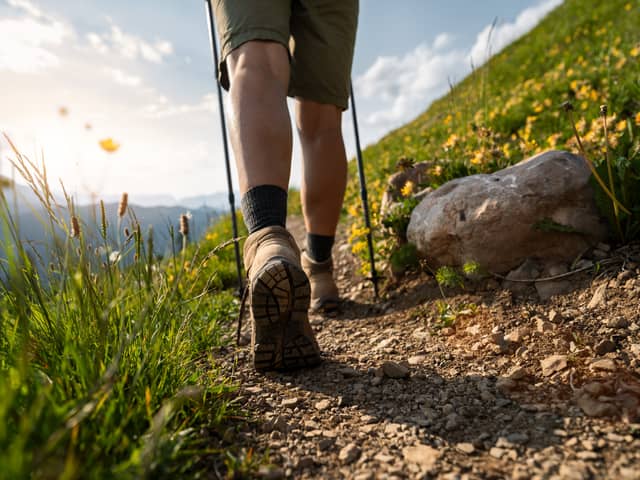 More people want to go on walks this year
