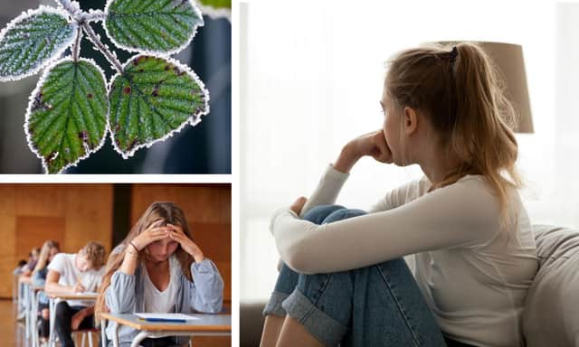 This time of year can be a lot for many young people