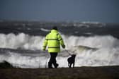 Storms can be a distressing time for our pets.
