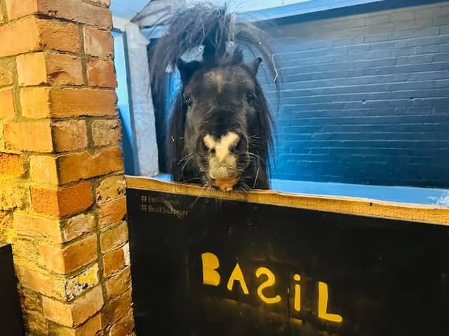 A sleepover staycation with a twist - and a very special guest - is on offer at a Thurgarton farm via Airbnb